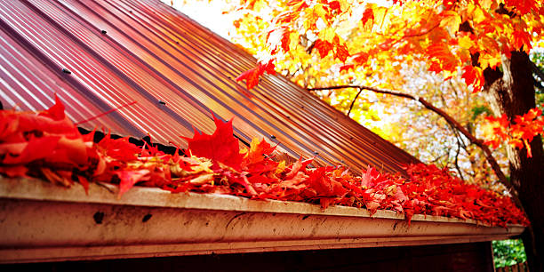 Gutter cleaning